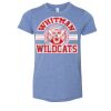 3413Y Youth Extra Soft Tri-blend Tee Thumbnail